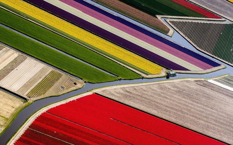 Σάββατο, 21 Απριλίου, Ολλανδία. Ανοιξιάτικα χρώματα σε αεροφωτογραφία από την περιοχή Λισέ