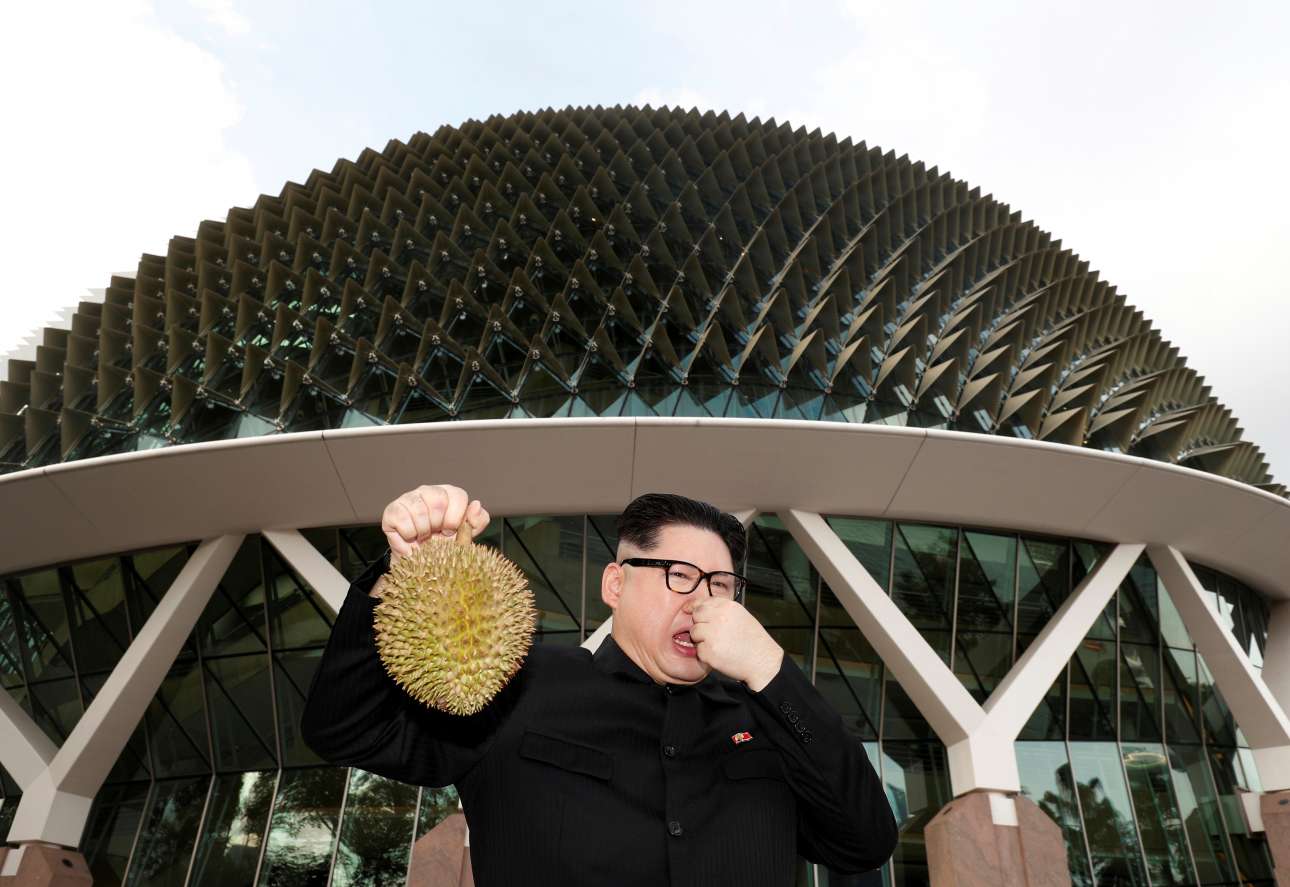 Δευτέρα, 28 Μαΐου, Σιγκαπούρη. O Χάουαρντ, ένας κινεζοαυστραλός μίμος του βορειοκορεάτη ηγέτη Κιμ Γιονγκ Ουν ποζάρει παρέα με ένα φυτό ντούριαν