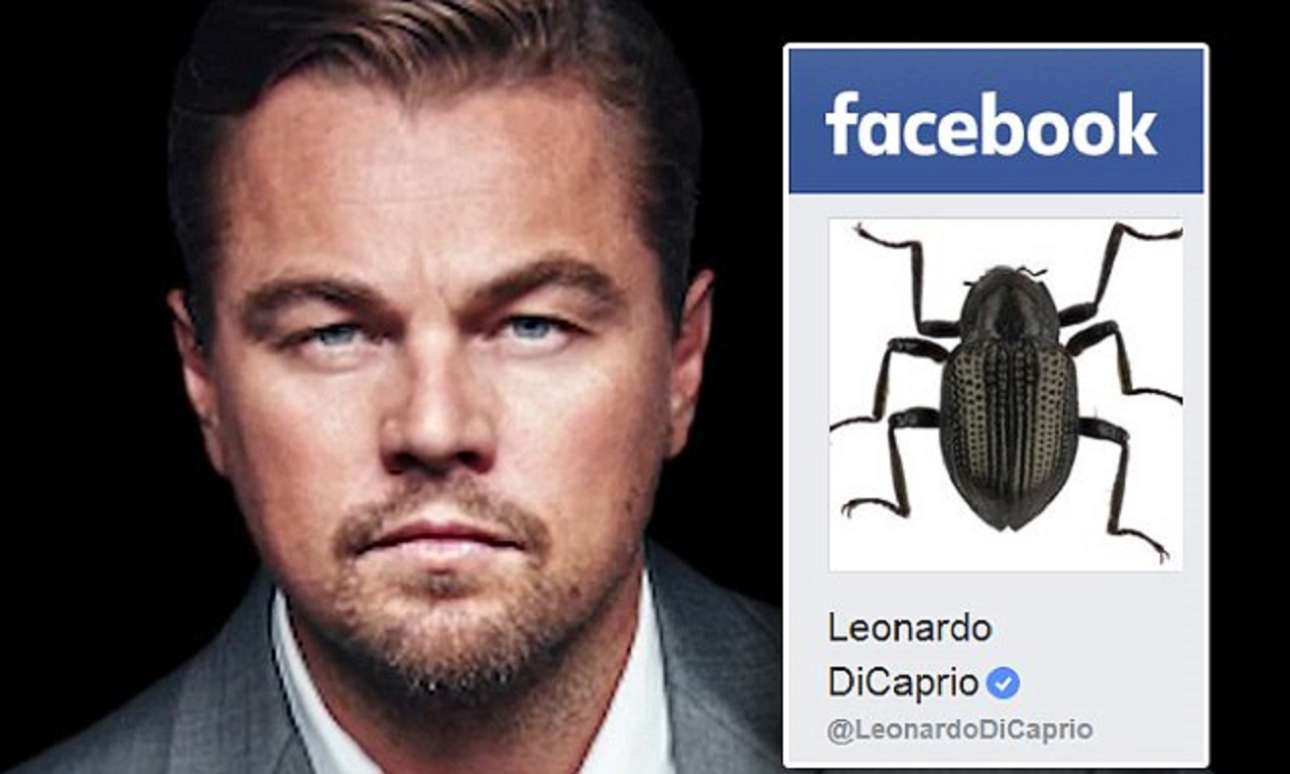 Βάφτισαν σκαθάρι της νήσου Βόρνεο Λεονάρντο Ντι Κάπριο