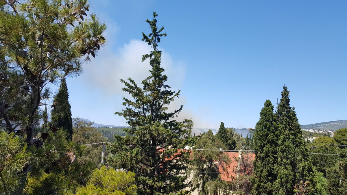 Φωτιά στο άλσος Συγγρού – Τραυματίστηκε εθελοντής πυροσβέστης