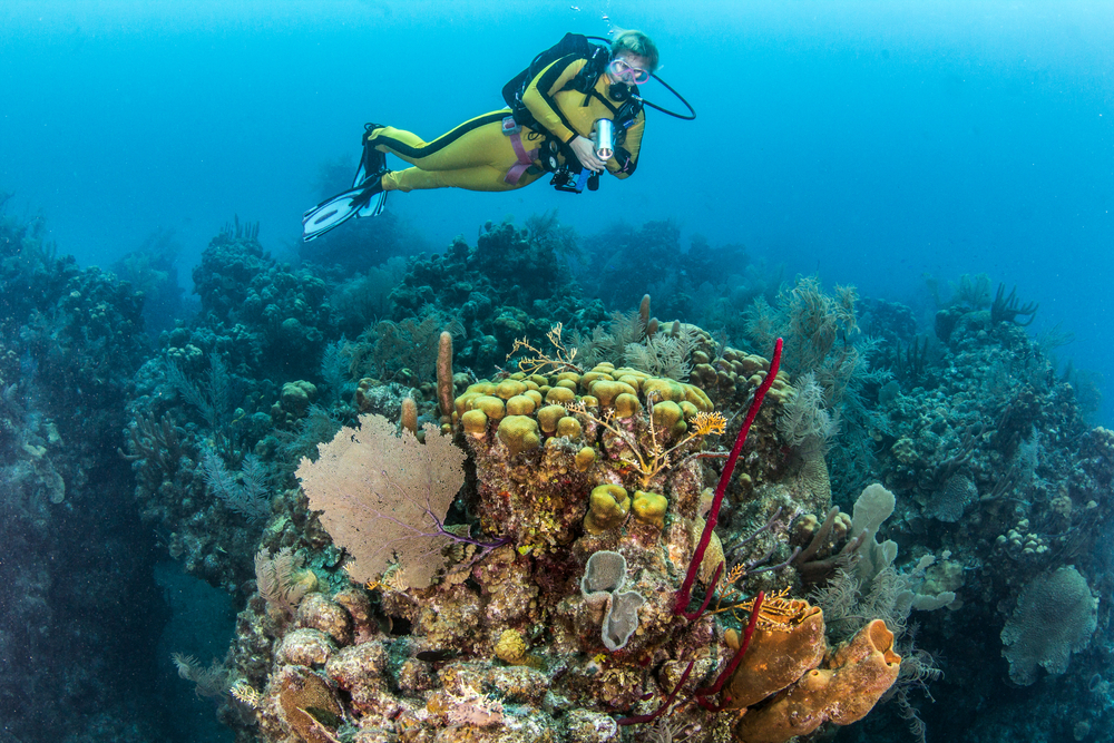 Belize Scuba Diving