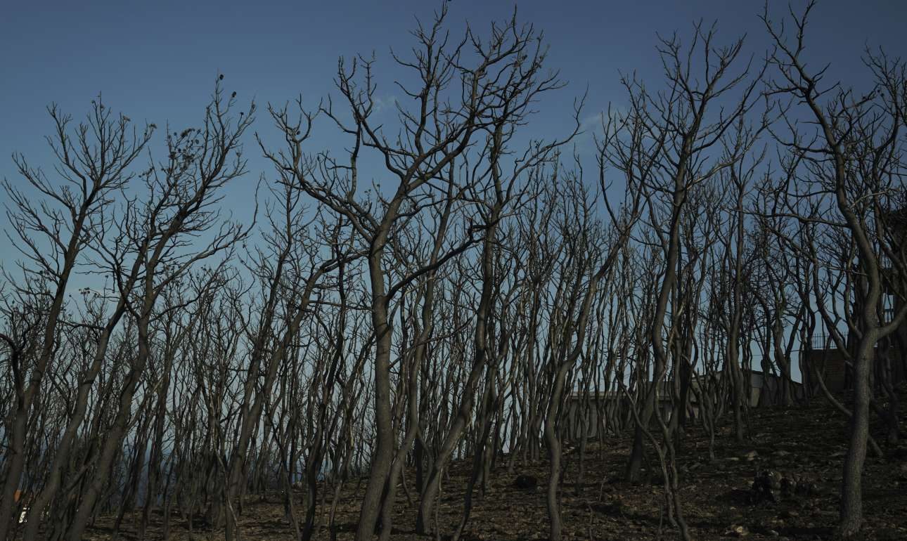 Πυροσβεστική: 25 οι αγνοούμενοι, 91 οι νεκροί (που έγιναν ξανά… 88!)