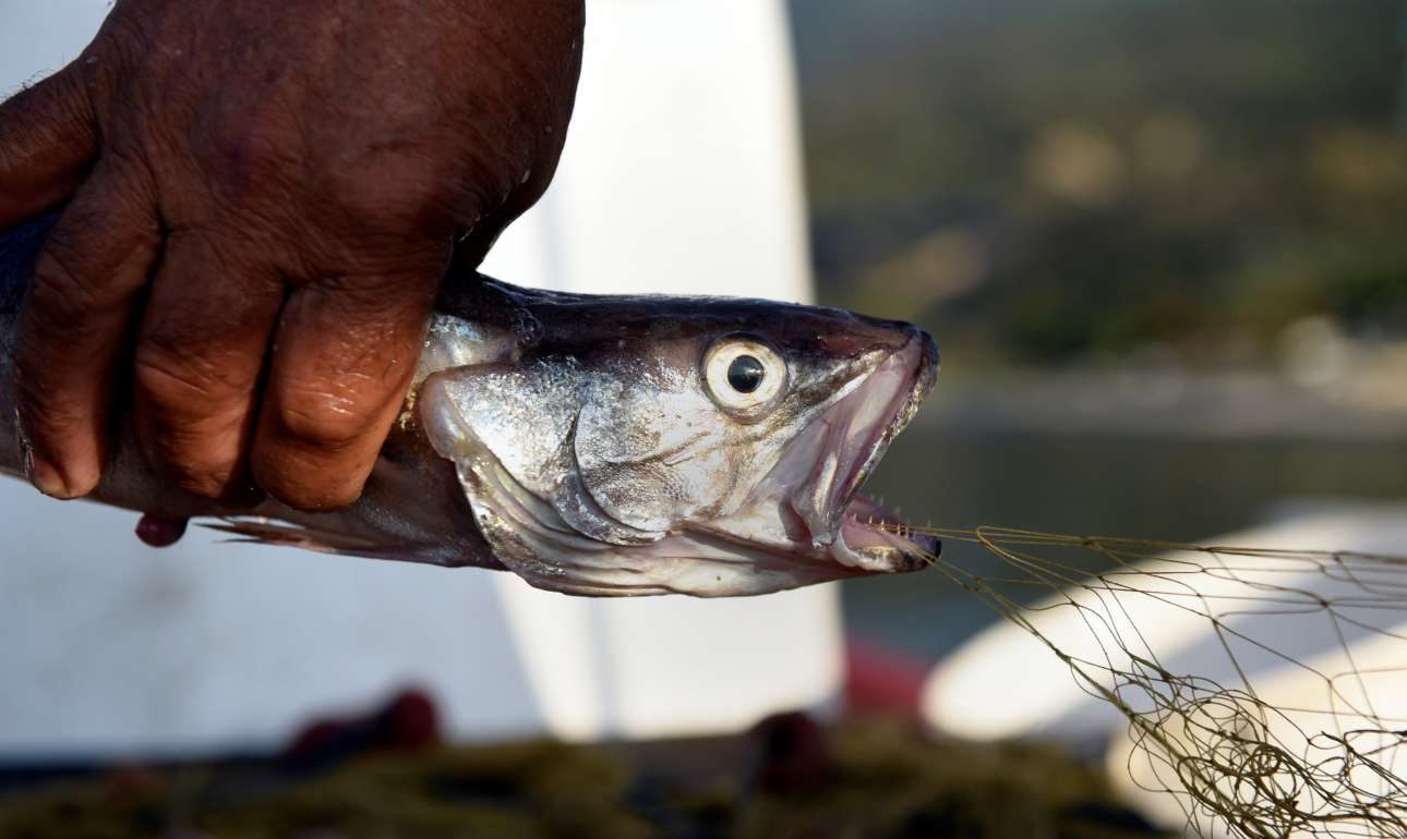 Εξαντλήσαμε νωρίτερα από ποτέ τους πόρους του πλανήτη