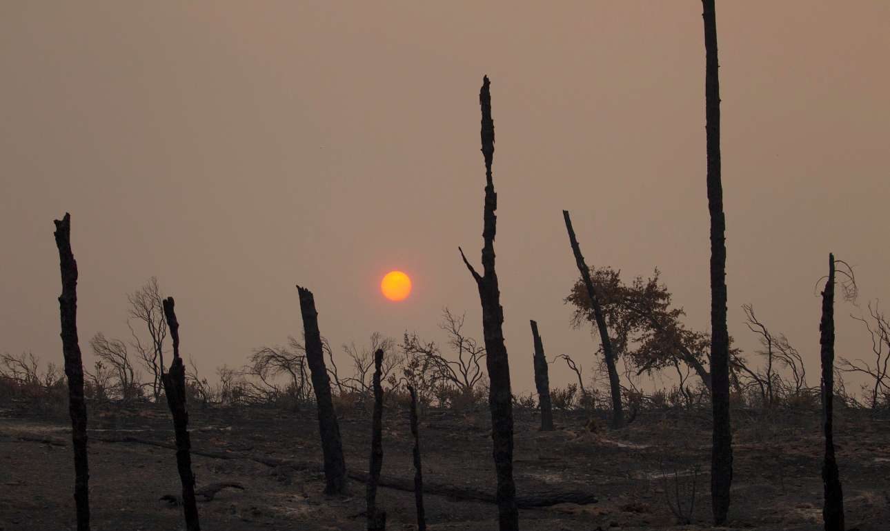 Νεκροί μία γυναίκα και δισέγγονά της στις πυρκαγιές της Καλιφόρνιας
