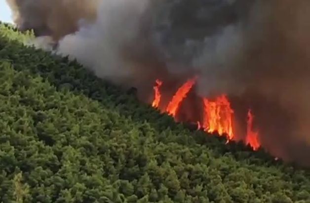 Υπό έλεγχο η πυρκαγιά στη Σκόπελο