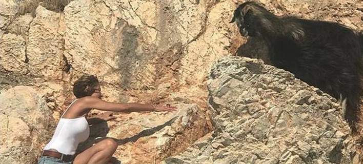 Πάρτι σχολίων στο Twitter με αφορμή την κατσίκα της Μπαλατσινού