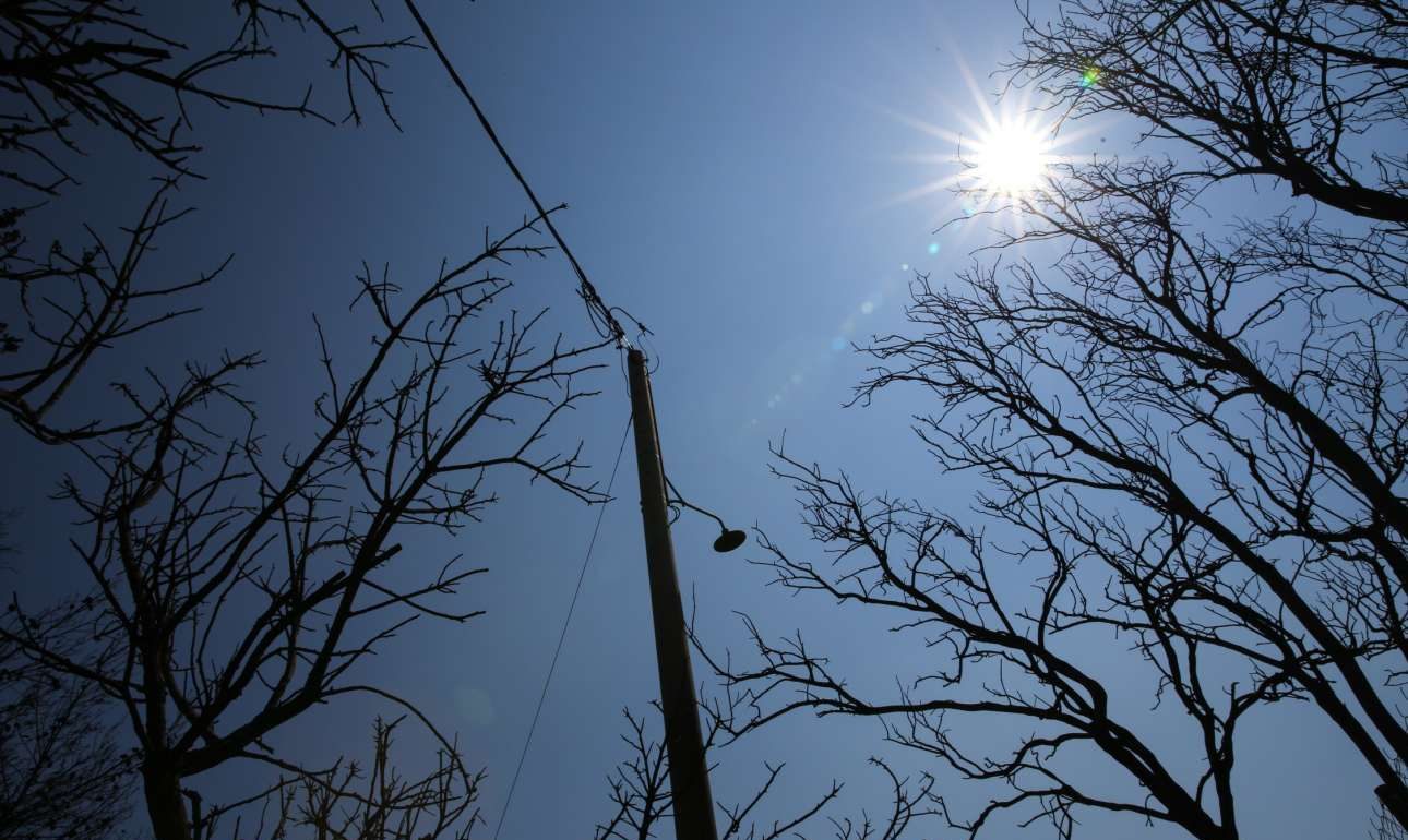 Εμπρησμός από αμέλεια προκάλεσε την τραγωδία στο Μάτι