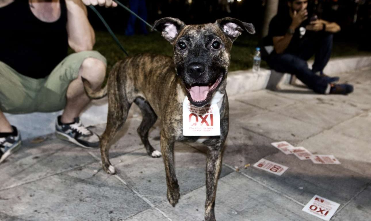 Ο Τσίπρας ψάχνει ξανά για κορόιδα – θα τα βρει;