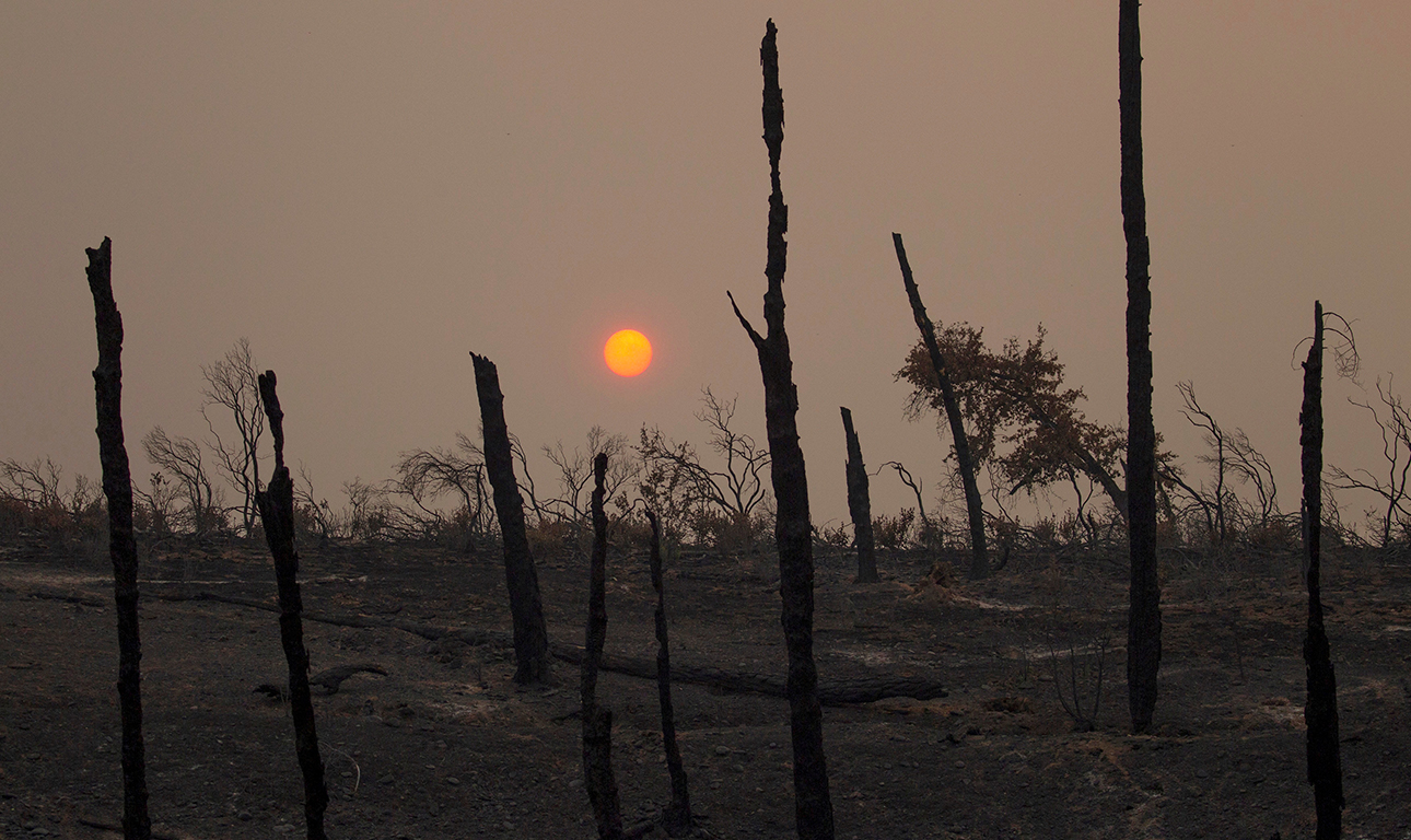 Economist: Ο κόσμος χάνει τον πόλεμο με την κλιματική αλλαγή