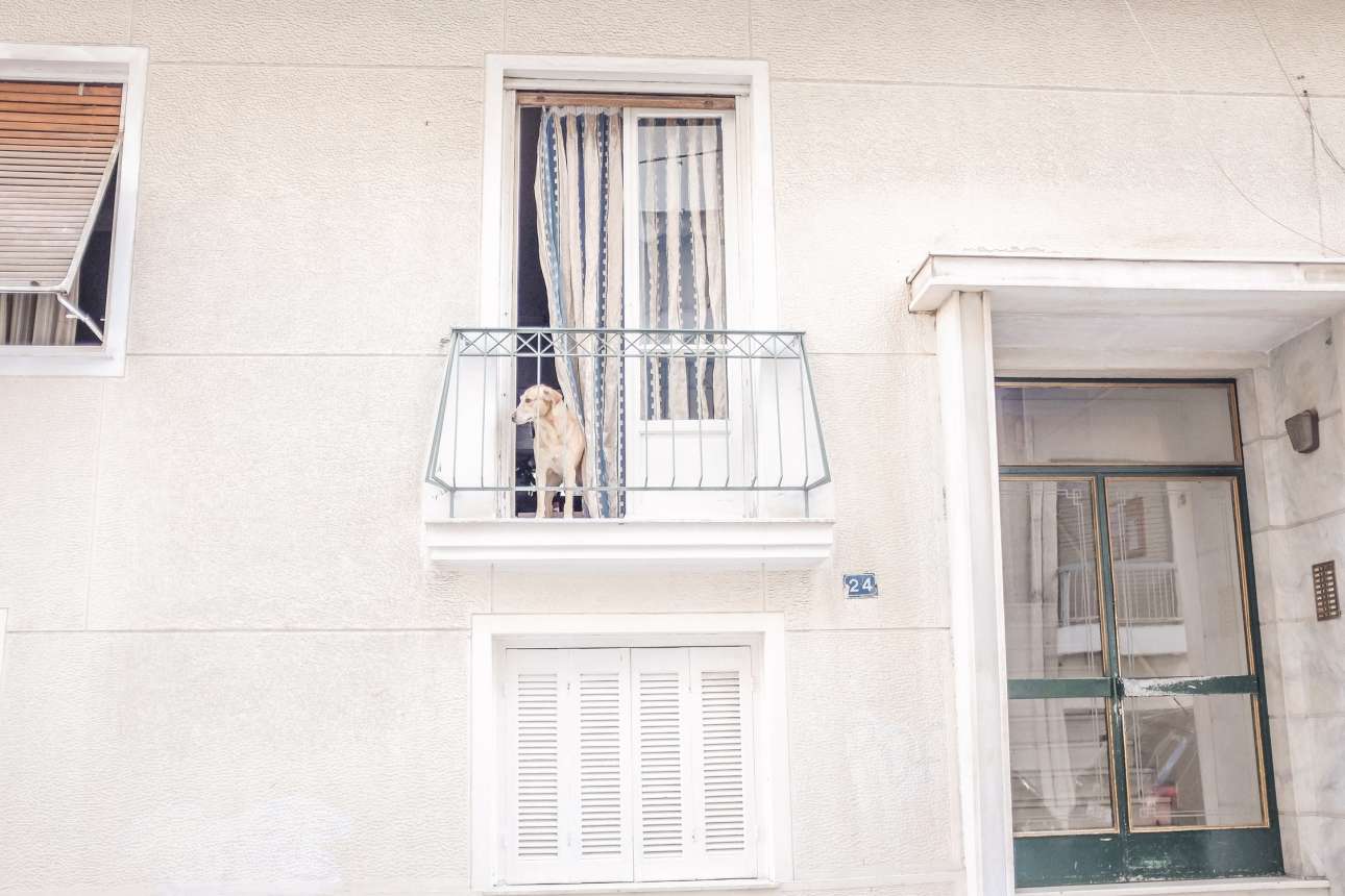 Οι συνένοχοι του Δεκαπενταύγουστου