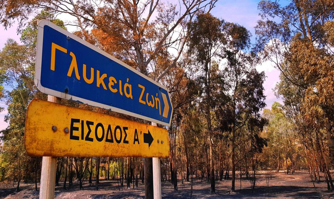 Για «Γλυκειά Ζωή» στρίψετε δεξιά