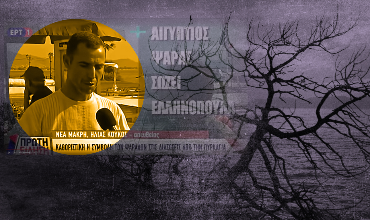 «Μαζεύαμε ανθρώπους από τη θάλασσα λες και ήταν ψάρια»