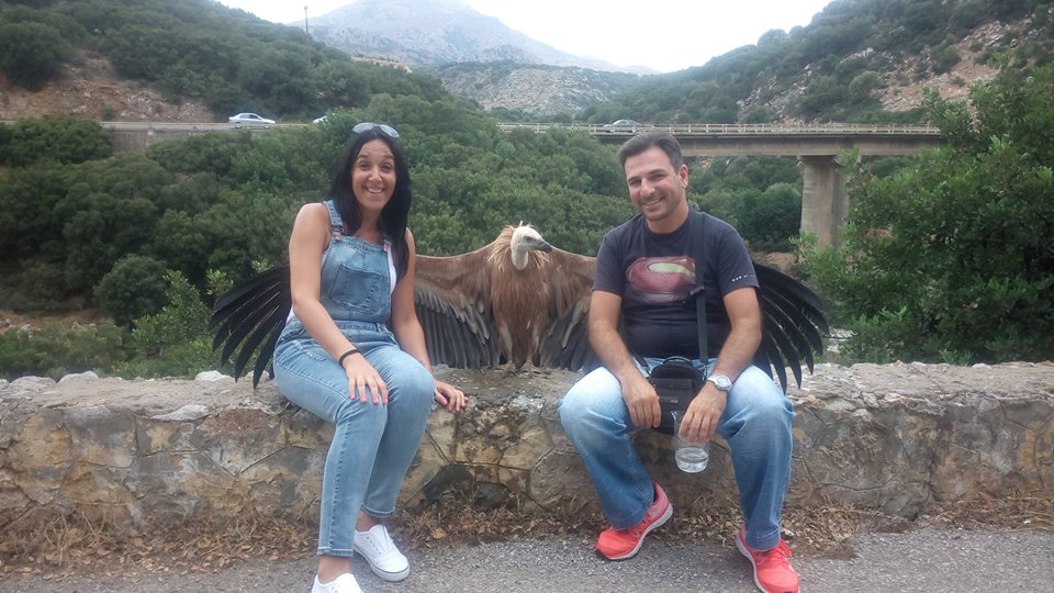 Διψασμένος για νερό και… likes γυπαετός, ποζάρει σαν σταρ