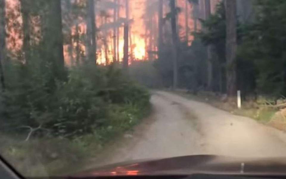 ΗΠΑ: Πατέρας και γιος διασώθηκαν περνώντας μέσα από τις φλόγες [Βίντεο]