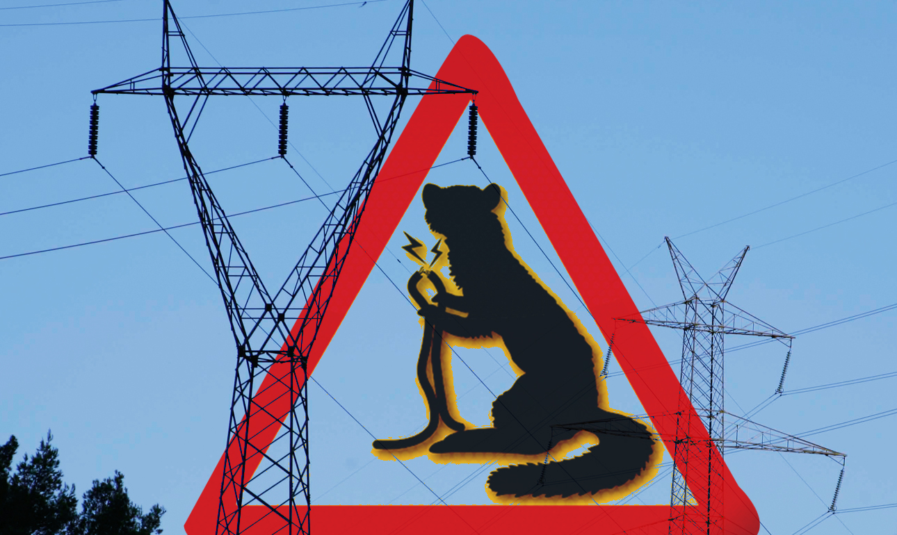 Τα κουνάβια της ΔΕΗ