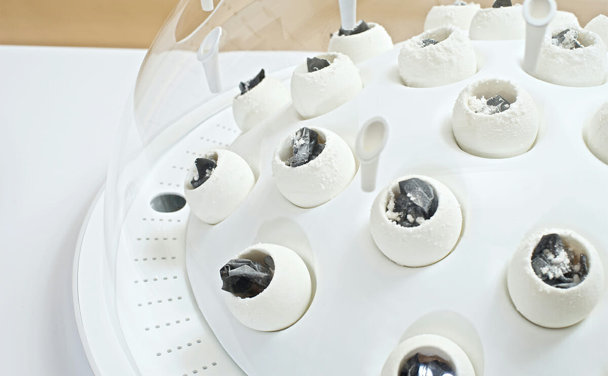 Μύκητας…οικολόγος που τρώει και εξολοθρεύει τα πλαστικά