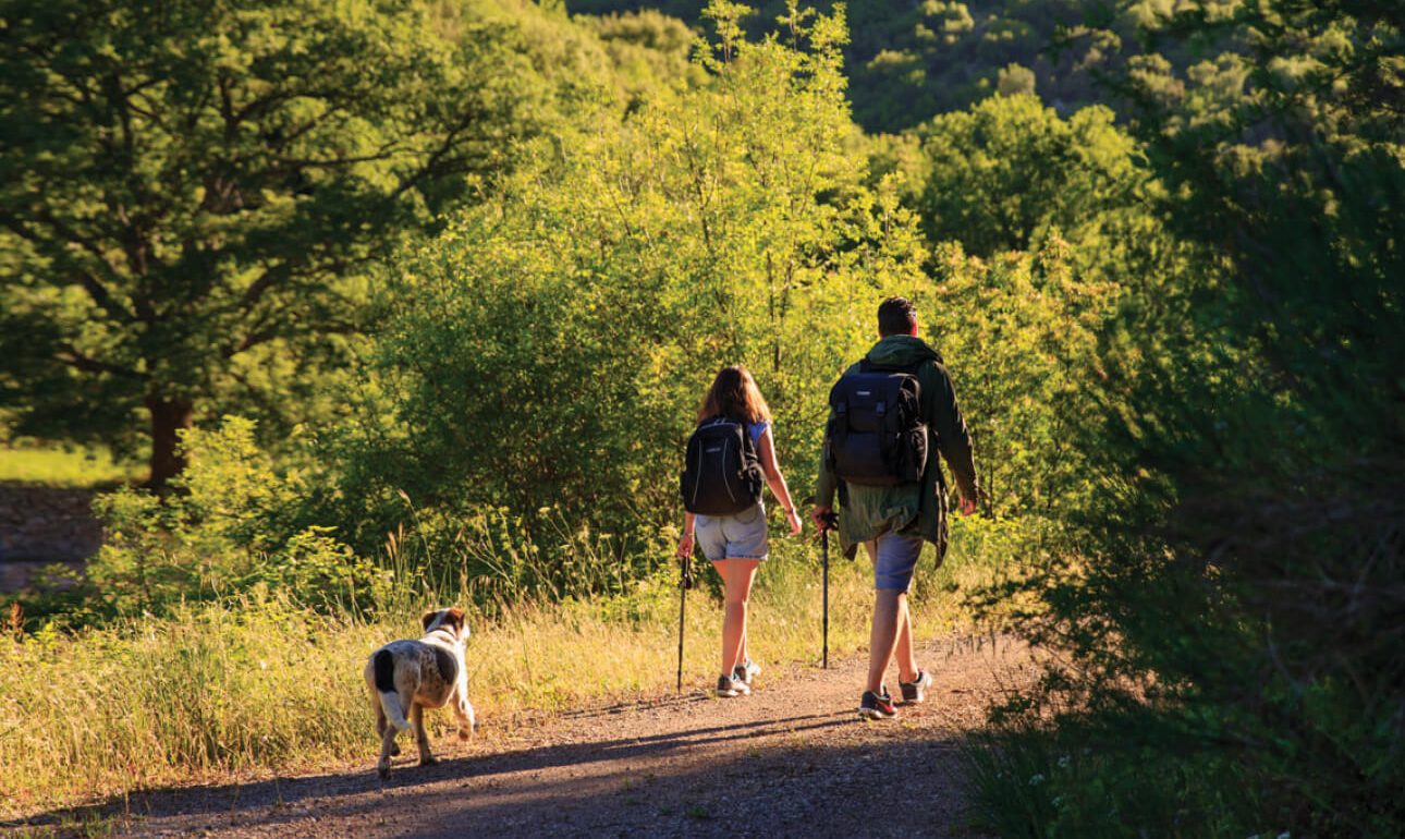 Στην Αμπελιώνα της Μεσσηνίας εγκαινιάστηκαν τα Apollo Trails