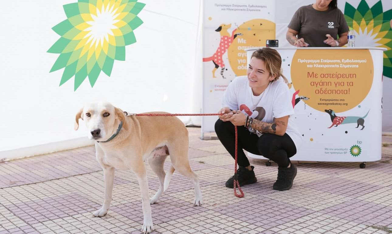 SGS και πρατήρια BP «με αστείρευτη αγάπη για τα αδέσποτα»