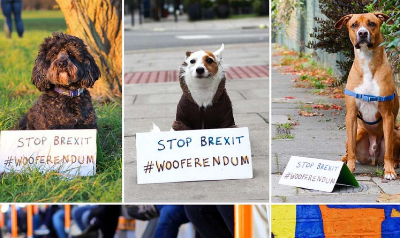 Βρετανία: Οι σκύλοι θα διαδηλώσουν κατά του Brexit
