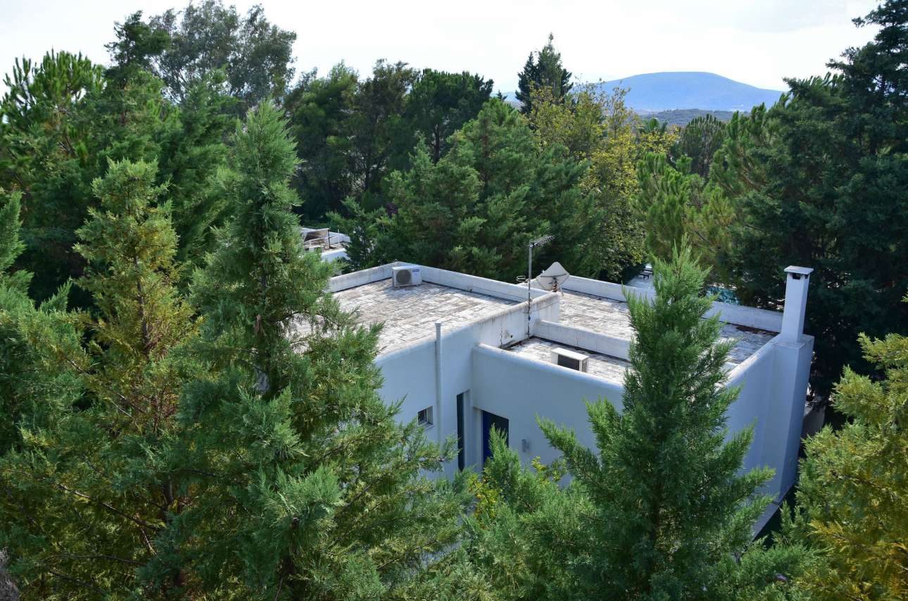 Τακτοποιούν ακόμα και τα αυθαίρετα στα δάση!