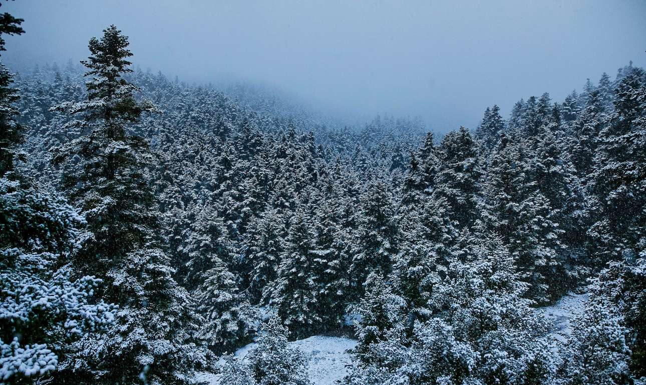 Χριστούγεννα με χιόνι και τσουχτερό κρύο σε όλη τη χώρα