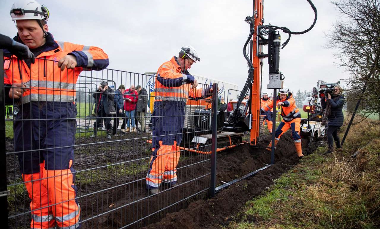 Φράχτη κατά των αγριόχοιρων υψώνουν οι Δανοί στα σύνορά τους με τη Γερμανία