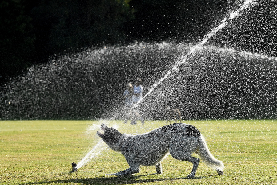 Η Αυστραλία βράζει από τον καύσωνα – ακόμη και τη νύχτα