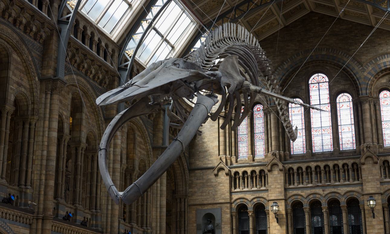 Αυξάνονται τα αιτήματα σε βρετανικά μουσεία για την επιστροφή θησαυρών