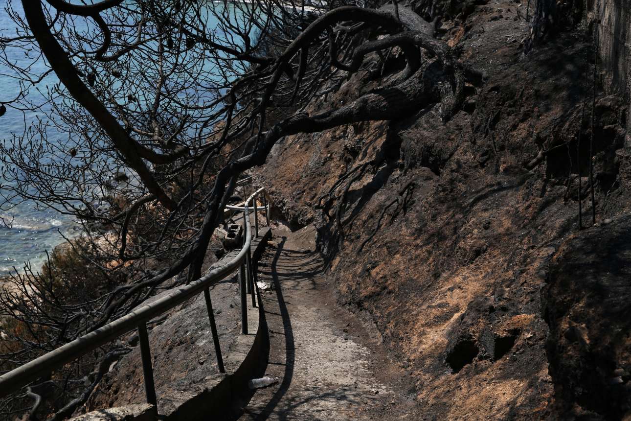 Μάτι, νεκροί ξανά