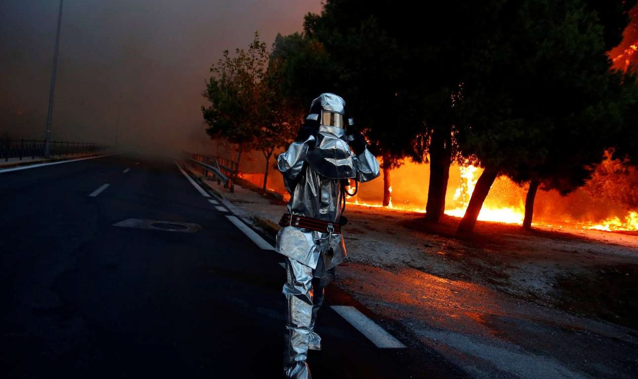Επαγγελματίες και μαϊμούδες