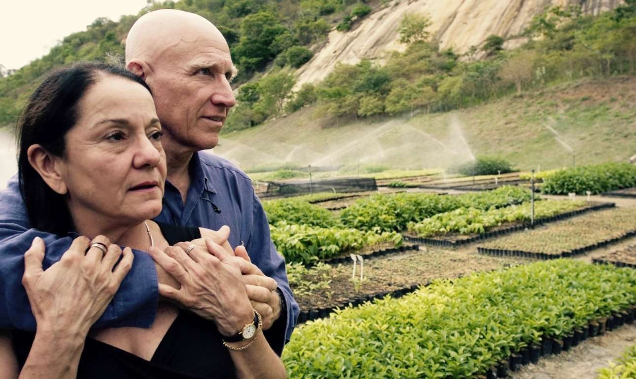 Πώς ο Σεμπαστιάο Σαλγκάδο αναγέννησε μια κατεστραμμένη έκταση