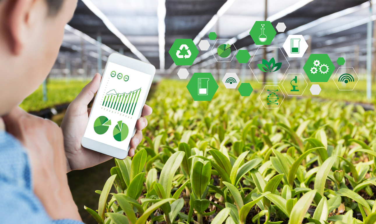 Τι είναι αυτή η Ευφυής Γεωργία; Και γιατί πρέπει να μας ενδιαφέρει;