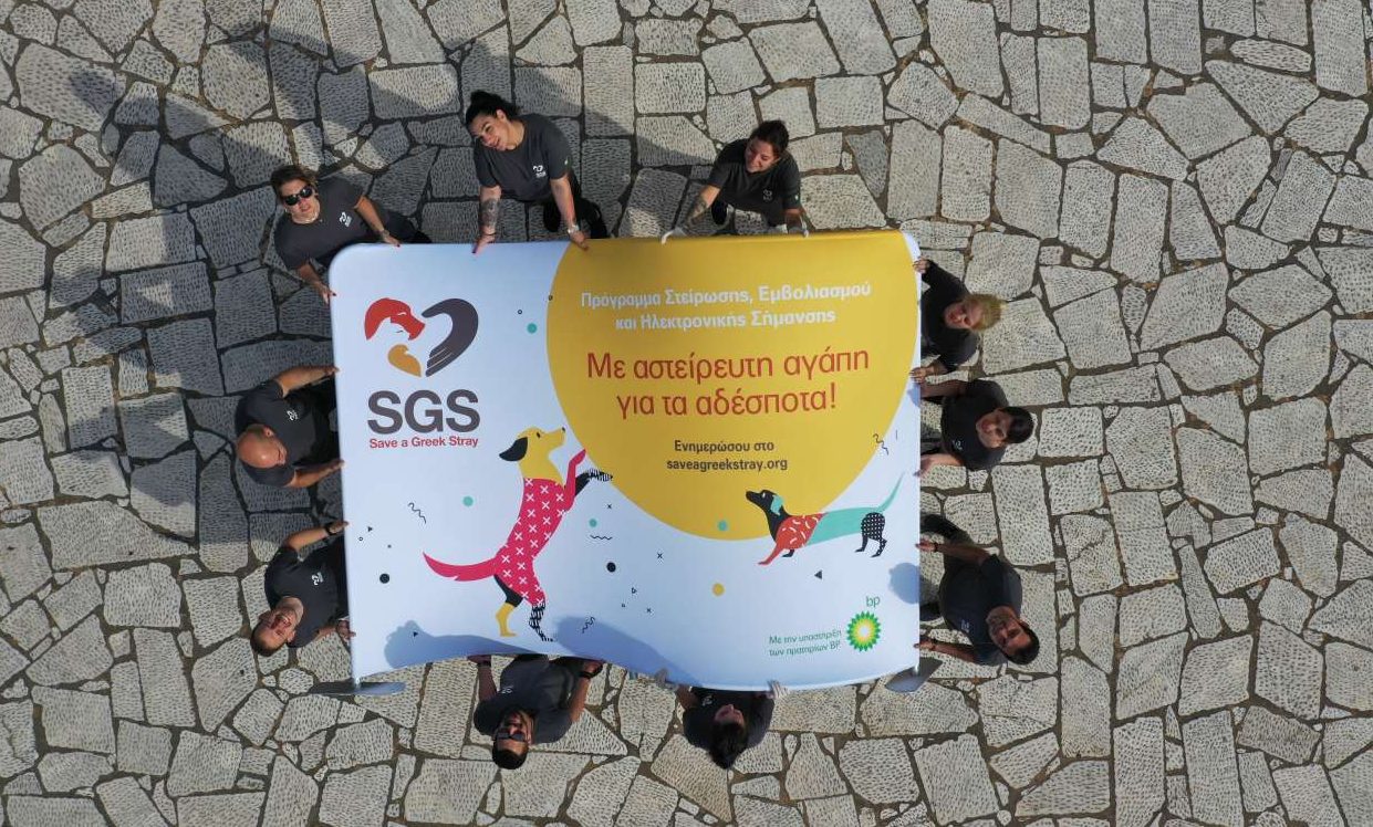 «Με αστείρευτη αγάπη για τα αδέσποτα», ένα ευαίσθητο πρόγραμμα