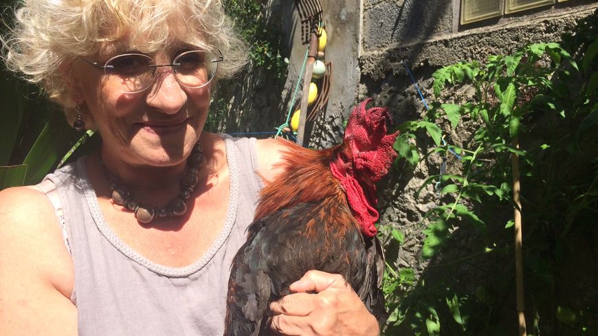 Ο κόκορας που έγινε το σύμβολο των γάλλων επαρχιωτών