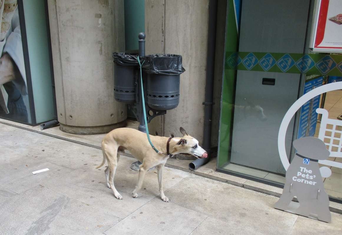 Μόνη στο City #24