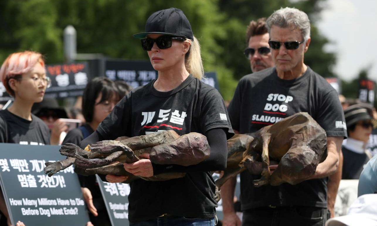 Σεούλ: Σπάνια εμφάνιση της Κιμ Μπάσιντζερ κατά της εμπορίας κρέατος σκύλων