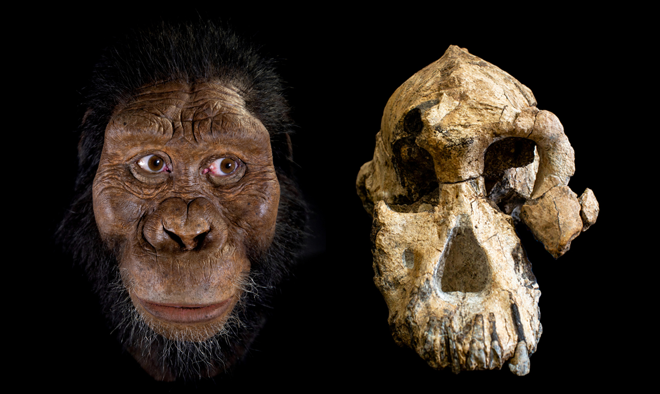 Αυτός είναι ο αρχαιότερος συγγενής του ανθρώπου