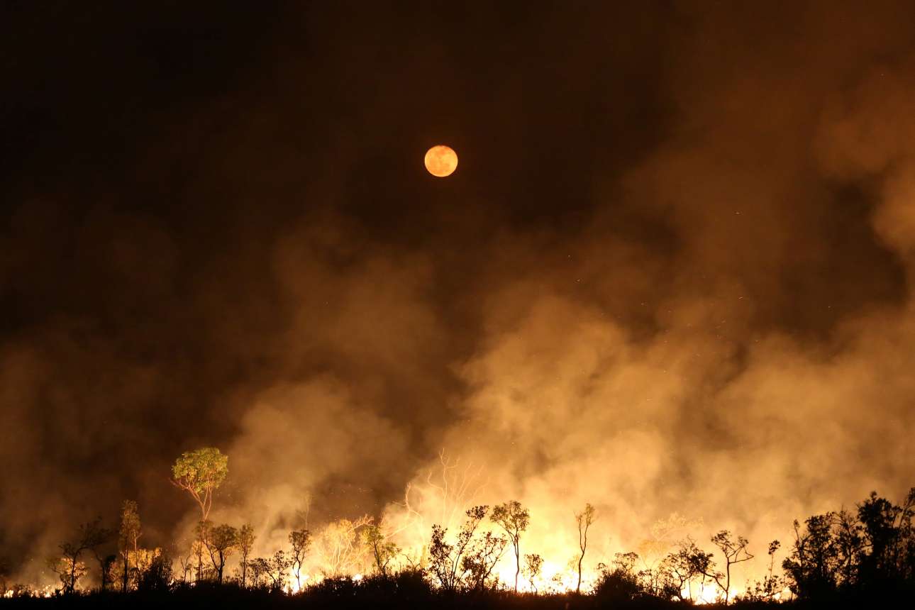 Economist: Μπορεί ο καπιταλισμός να σώσει τον πλανήτη;