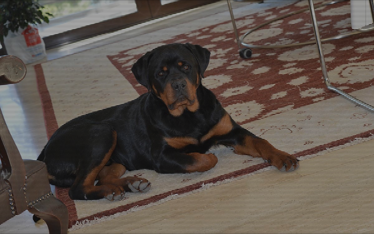 Εχω Ροτβάιλερ. Μπορώ να πω;