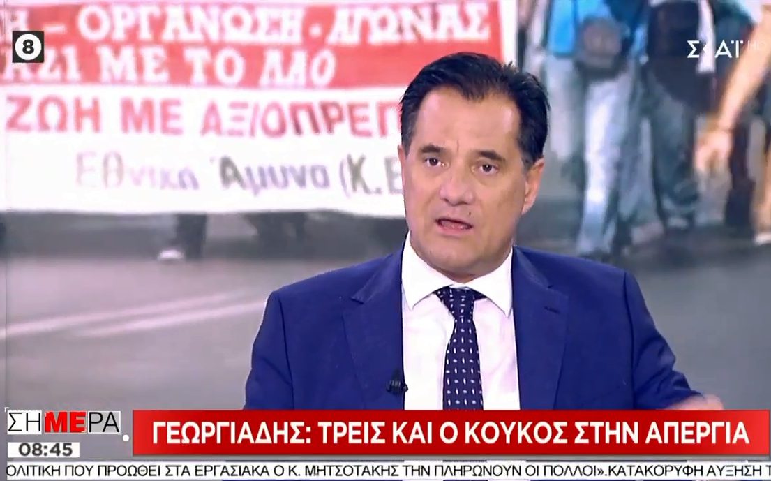 Γεωργιάδης: «Η Αμυγδαλέζα ήταν “Four Seasons” σε σχέση με τη Μόρια»