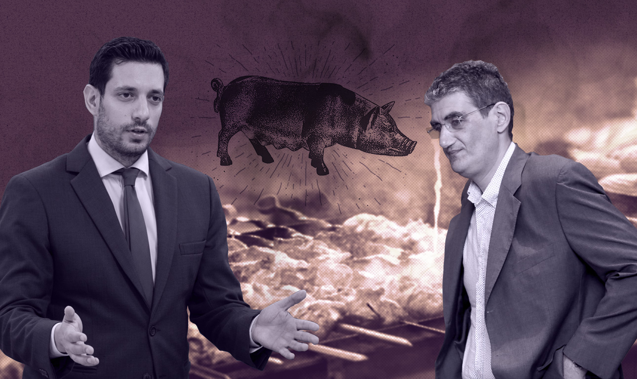 Το μη χοιρινόν βέλτιστον