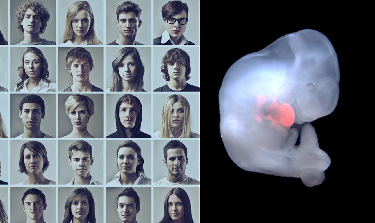 Ιατρική της Ανανέωσης: τελικά, θα γίνουμε όλοι Μαθουσάλες;