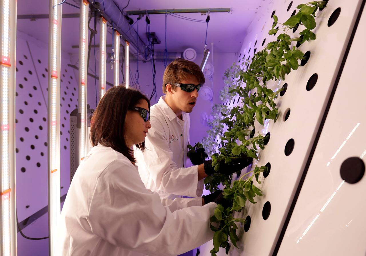 Καταπληκτικά στη γεύση τα λαχανικά του… Αρη!