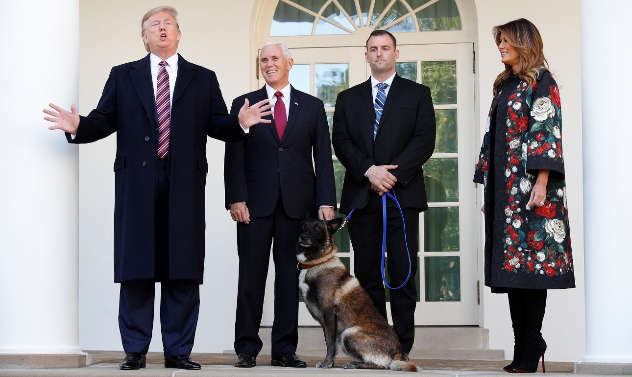 Κόναν, ο ήρωας σκύλος είναι αγόρι ή κορίτσι;