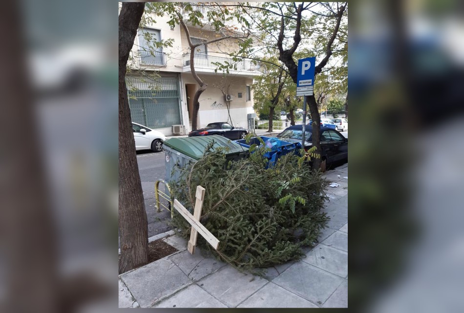 Τα δέντρα που πληγώνουμε