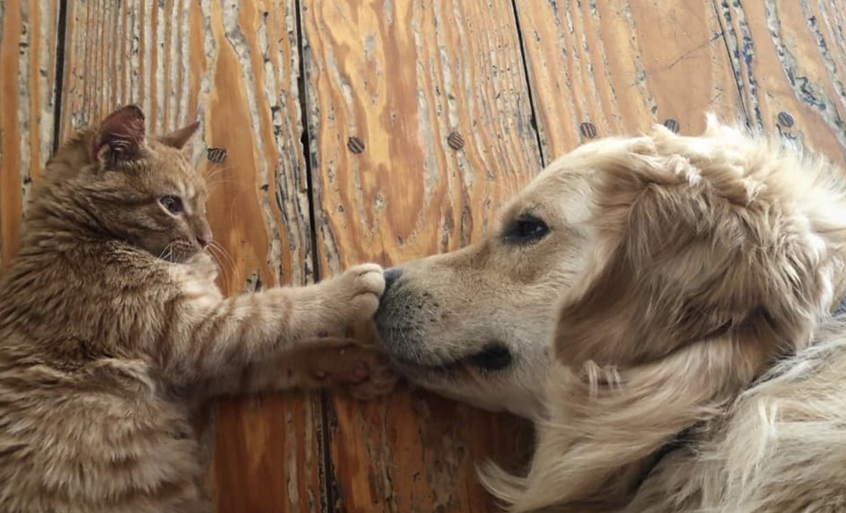 Αγάπη, μωρέ: Αλέκα – Μπούλης
