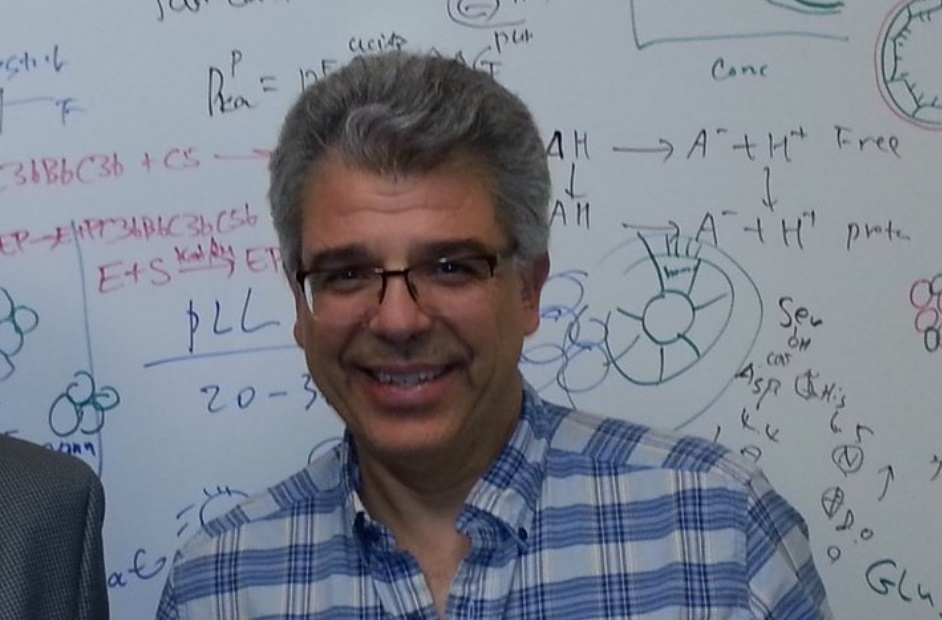 Τον Ορέστη Καλογήρου προτείνει η Νίκη Κεραμέως για επικεφαλής του ΔΟΑΤΑΠ