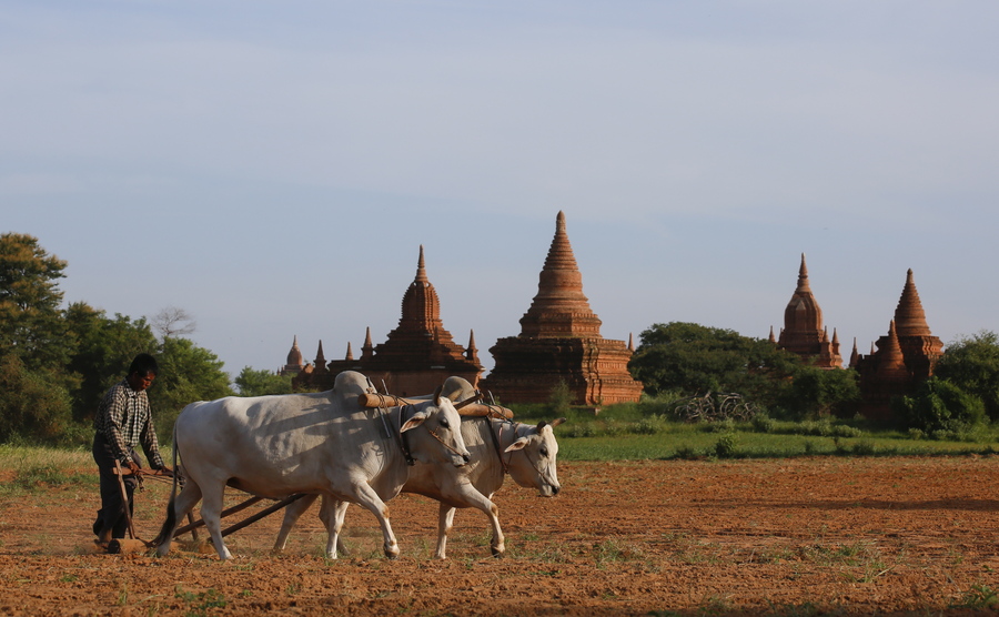 Οργή στη Μιανμάρ για το πορνό σε βουδιστικό ιερό τόπο