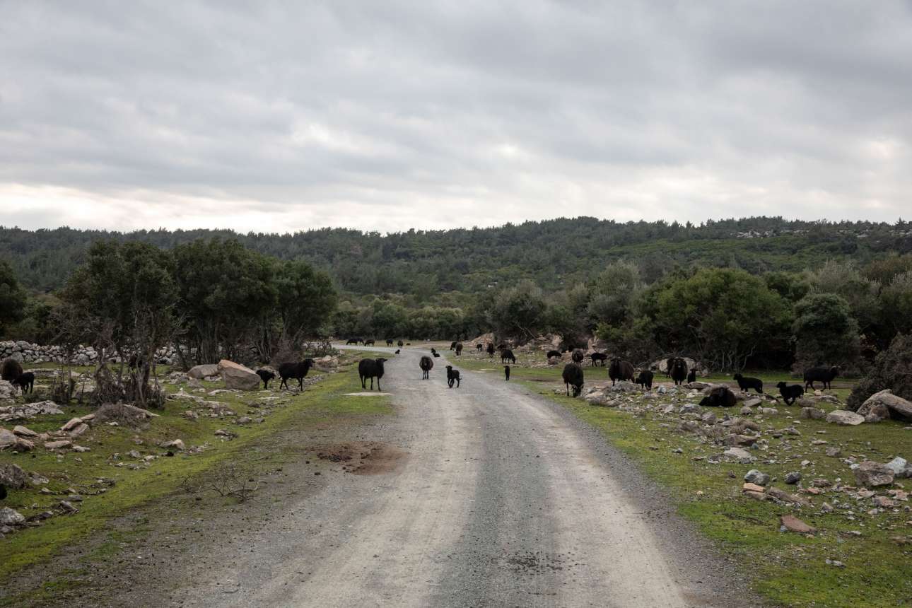 Αναβλήθηκε η συνάντηση Μηταράκη με τους νησιώτες – €9,5 εκατ. στους δήμους για το Μεταναστευτικό