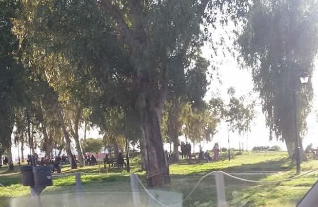 Απίστευτες στιγμές (και) στην Πάτρα – πικ νικ, ποδήλατο και τζόγκινγκ κατά ομάδες στο πάρκο